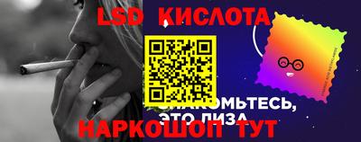PSILOCYBIN Северобайкальск