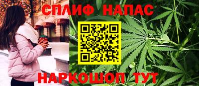 PSILOCYBIN Северобайкальск