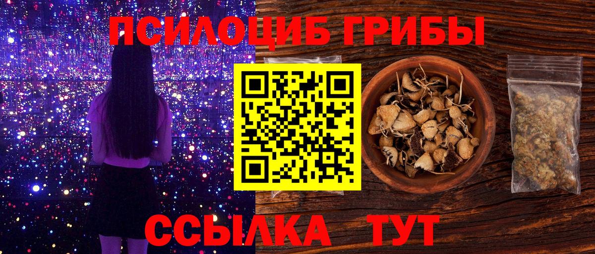 Псилоцибиновые грибы прущие грибы  Псилоцибиновые грибы Psilocybe  Вход с VPN  Нарткала 